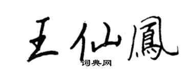 王正良王仙凤行书个性签名怎么写