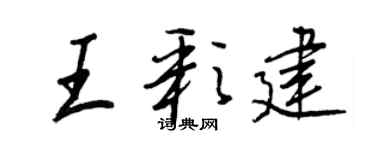 王正良王彩建行书个性签名怎么写