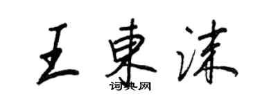 王正良王东沫行书个性签名怎么写