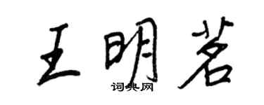 王正良王明茗行书个性签名怎么写