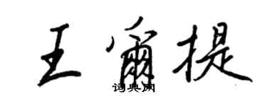 王正良王尔提行书个性签名怎么写
