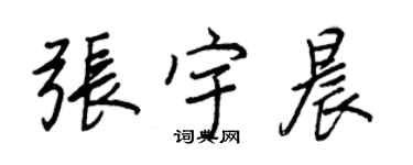 王正良张宇晨行书个性签名怎么写