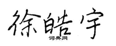 王正良徐皓宇行书个性签名怎么写