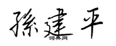 王正良孙建平行书个性签名怎么写