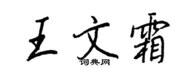 王正良王文霜行书个性签名怎么写