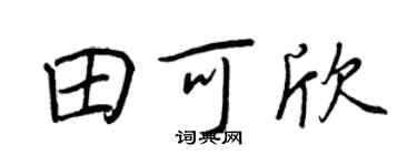 王正良田可欣行书个性签名怎么写