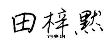 王正良田梓默行书个性签名怎么写