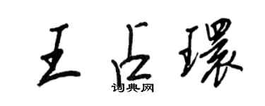 王正良王占环行书个性签名怎么写