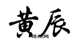 胡问遂黄辰行书个性签名怎么写