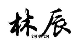 胡问遂林辰行书个性签名怎么写