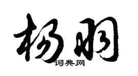 胡问遂杨羽行书个性签名怎么写