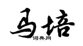 胡问遂马培行书个性签名怎么写