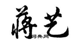 胡问遂蒋艺行书个性签名怎么写