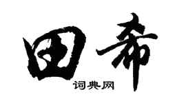 胡问遂田希行书个性签名怎么写