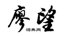 胡问遂廖望行书个性签名怎么写