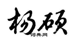 胡问遂杨硕行书个性签名怎么写