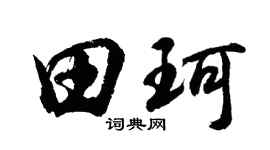 胡问遂田珂行书个性签名怎么写