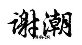 胡问遂谢潮行书个性签名怎么写