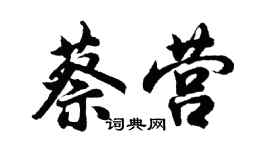 胡问遂蔡营行书个性签名怎么写