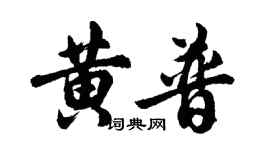 胡问遂黄普行书个性签名怎么写