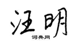 王正良汪明行书个性签名怎么写