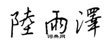 王正良陆雨泽行书个性签名怎么写