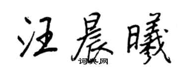 王正良汪晨曦行书个性签名怎么写