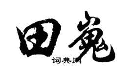 胡问遂田嵬行书个性签名怎么写