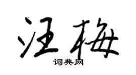 王正良汪梅行书个性签名怎么写
