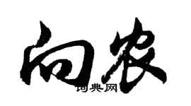 胡问遂向农行书个性签名怎么写