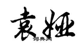 胡问遂袁娅行书个性签名怎么写