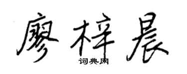 王正良廖梓晨行书个性签名怎么写