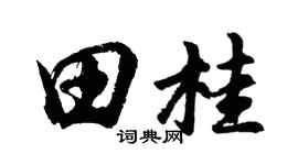 胡问遂田桂行书个性签名怎么写