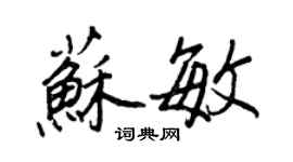 王正良苏敏行书个性签名怎么写