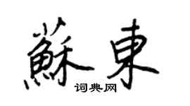 王正良苏东行书个性签名怎么写
