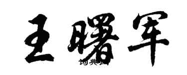 胡问遂王曙军行书个性签名怎么写