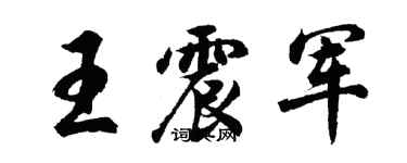 胡问遂王震军行书个性签名怎么写