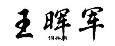 胡问遂王晖军行书个性签名怎么写