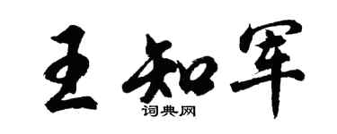 胡问遂王知军行书个性签名怎么写