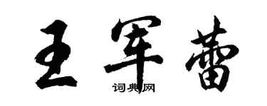 胡问遂王军蕾行书个性签名怎么写