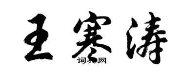 胡问遂王寒涛行书个性签名怎么写