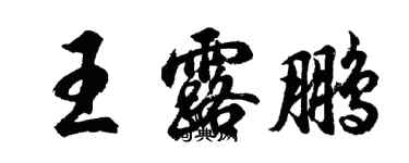 胡问遂王露鹏行书个性签名怎么写