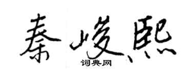 王正良秦峻熙行书个性签名怎么写