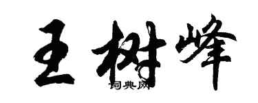 胡问遂王树峰行书个性签名怎么写