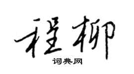 王正良程柳行书个性签名怎么写