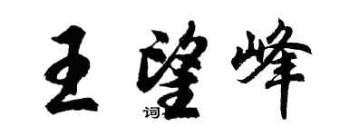 胡问遂王望峰行书个性签名怎么写