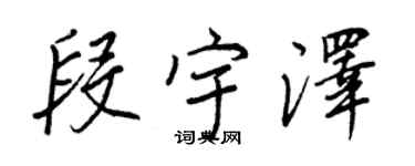 王正良段宇泽行书个性签名怎么写