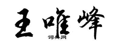 胡问遂王唯峰行书个性签名怎么写