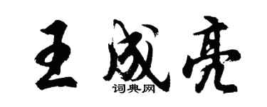 胡问遂王成亮行书个性签名怎么写