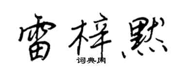 王正良雷梓默行书个性签名怎么写